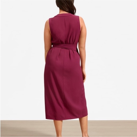 Everlane  - The Japanese GoWeave
Sleeveless Wrap Dress size 6 in Berry - Picture 4 of 11